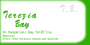 terezia bay business card